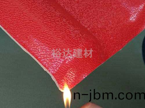 阻燃測(ce)試